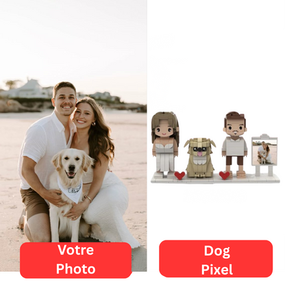 Pixel Pets