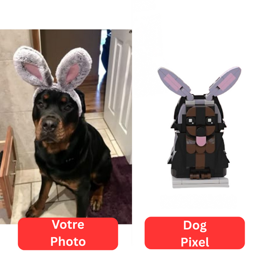 Pixel Pets